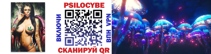 Купить где  Алзамай  Псилоцибиновые грибы Magic Shrooms 